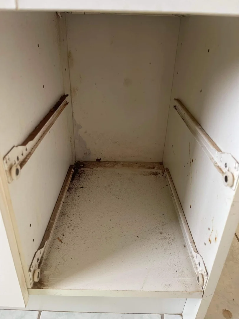 Empty white kitchen cabinet interior with grime, dark speckles and brown stains across the bottom shelf before cleaning.